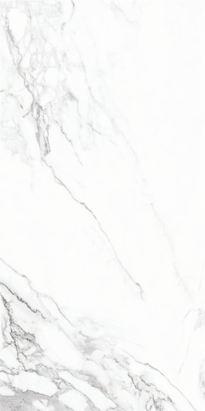 24x48 ETERNAL MATT WHITE RC.PORCELAIN TILE